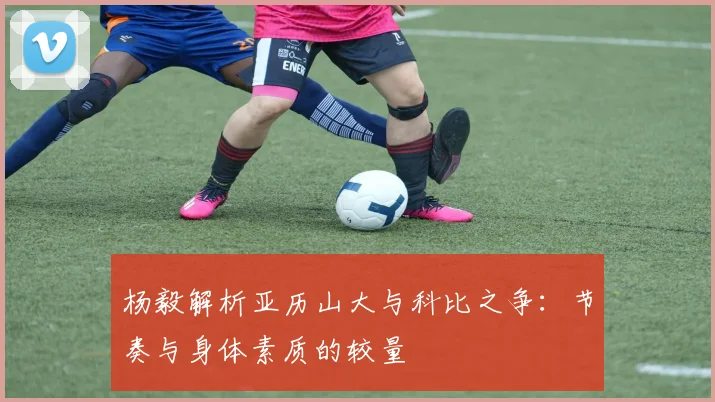 杨毅解析亚历山大与科比之争：节奏与身体素质的较量