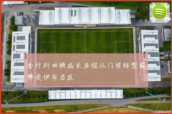 舍什科回顾成长历程从门将转型前锋受伊布启发